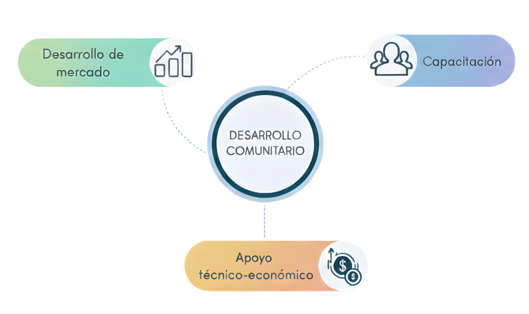 Desarrollo Comunitario
